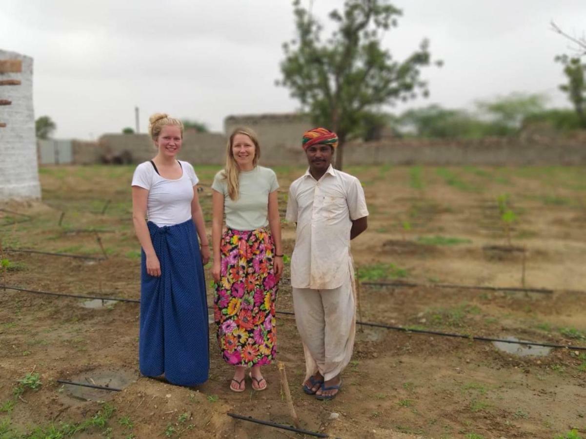 Bishnoi Village Home Stay Джодхпур Экстерьер фото
